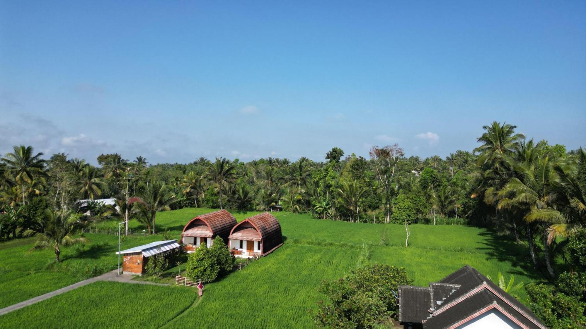 Bale Tetebatu Exterior foto