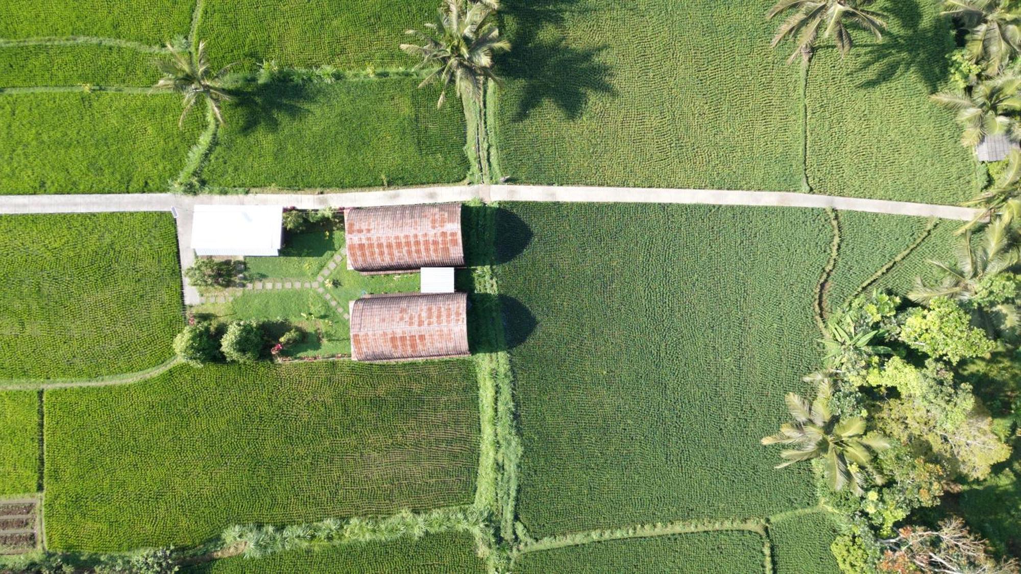 Bale Tetebatu Exterior foto