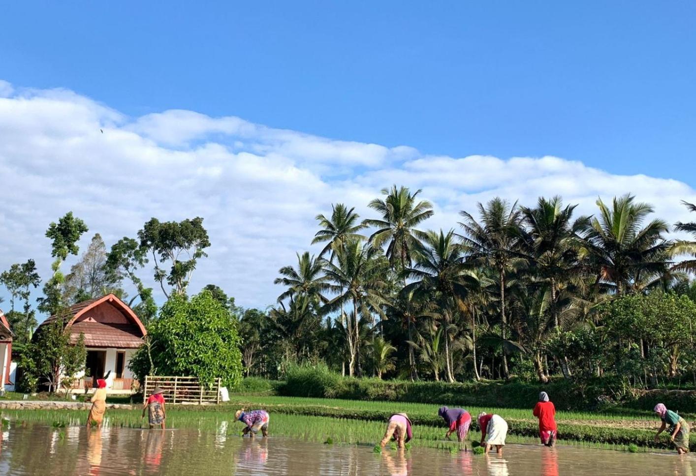 Bale Tetebatu Exterior foto