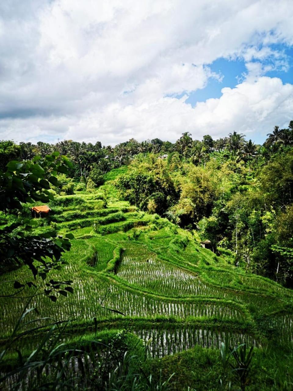 Bale Tetebatu Exterior foto